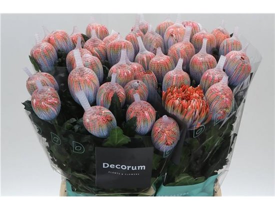 Marjetka deco Antonov Dyed Vulcano c482