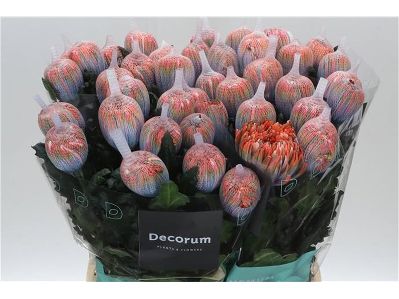 Marjetka deco Antonov Dyed Vulcano c482