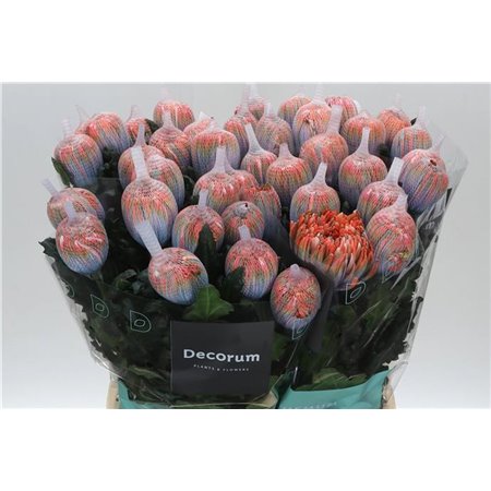 Marjetka deco Antonov Dyed Vulcano c482