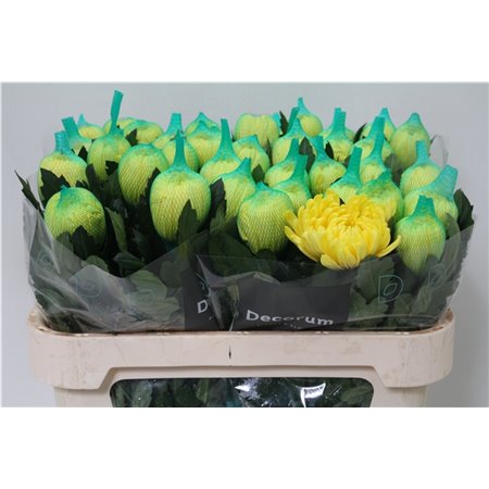 Marjetka deco Maracuja c497