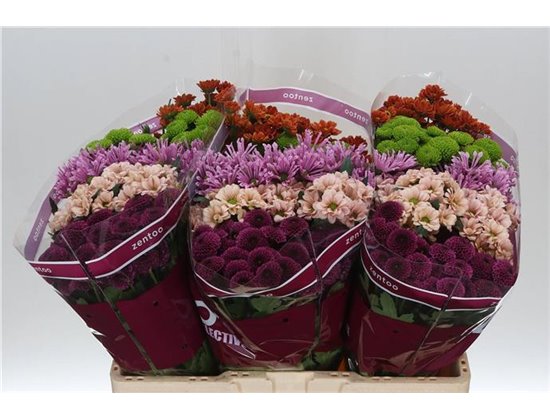 Marjetka santini Mixed Happy c546