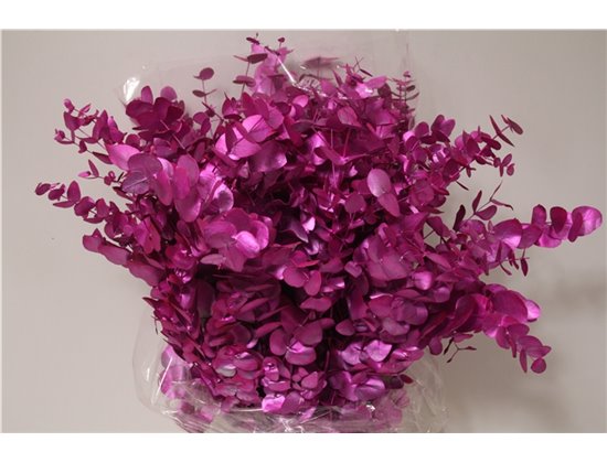 Evkaliptus Cinerea Col. with Cerise (p. bunch) c772