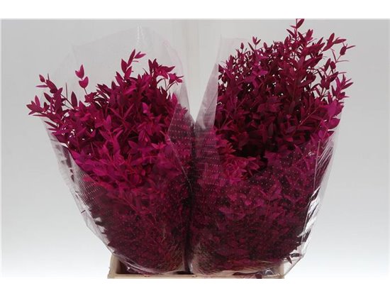 Evkaliptus Parvi 400gr (p. bunch) c785