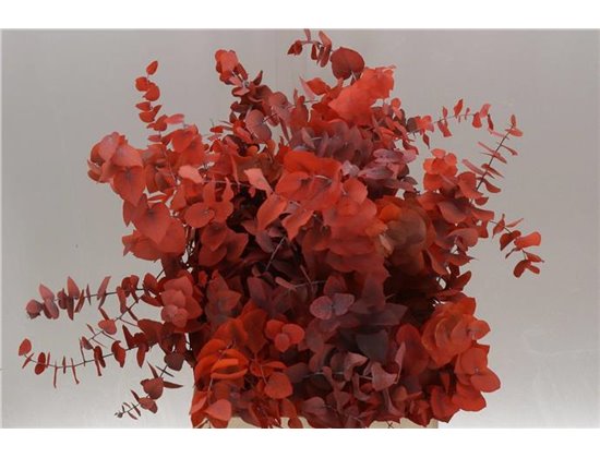 Evkaliptus Stuart Pres Orange 200gr (p. bunch) c801