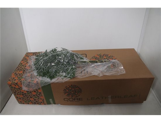 Praprot Ex x35 (vacuum) (p. bunch) c1239