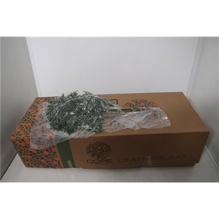 Praprot Ex x35 (vacuum) (p. bunch) c1239