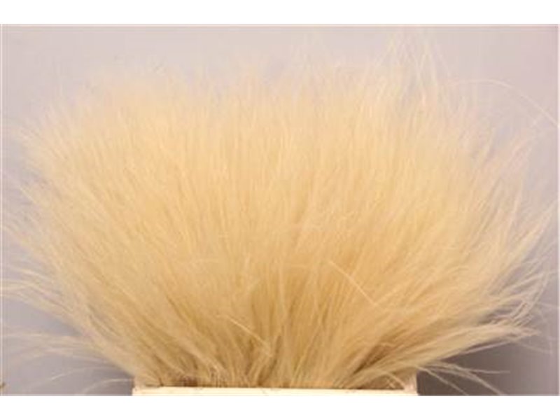 Strelicija Leaf c1949