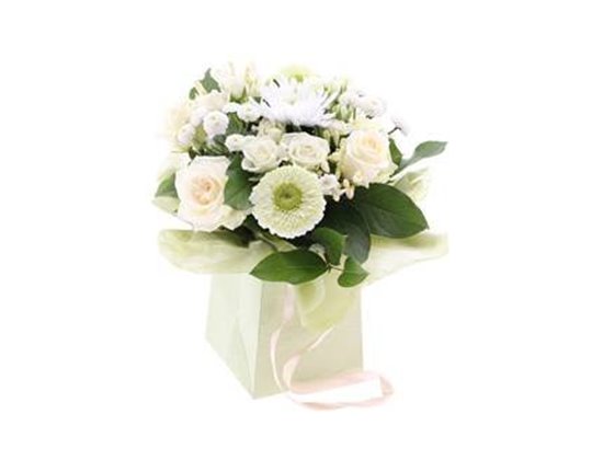 Antirrhinum Mixed c121