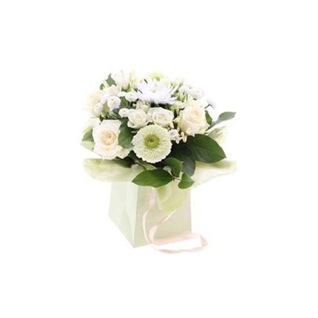 Antirrhinum Mixed c121