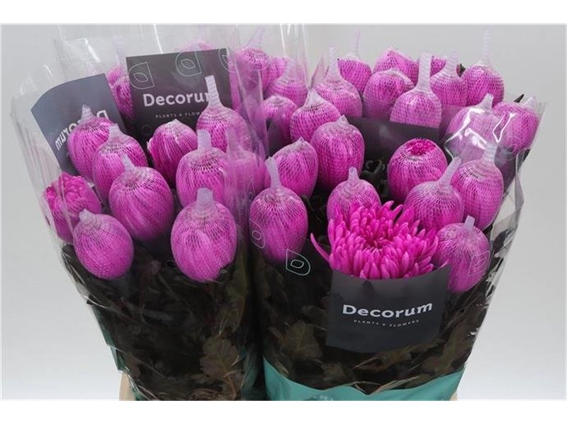 Marjetka deco Antonov Dyed Cerise c392