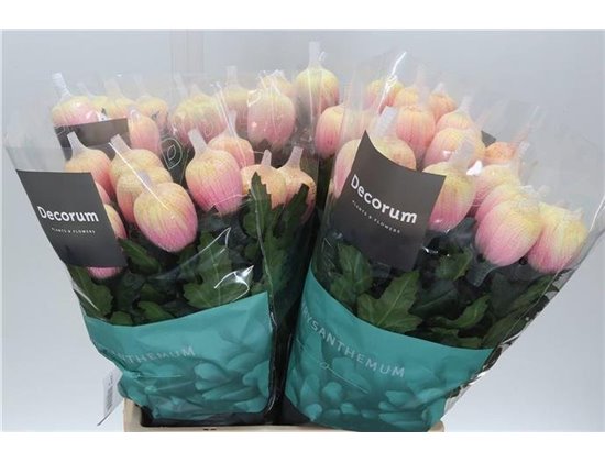 Marjetka deco Antonov Dyed Soft Peach c405