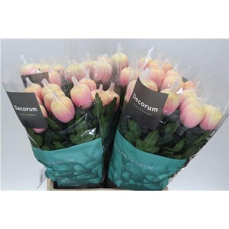 Marjetka deco Antonov Dyed Soft Peach c405