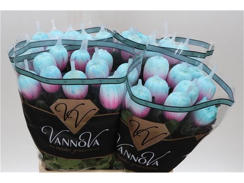Marjetka deco Antonov Dyed Mermaid c776