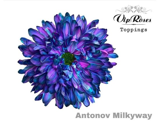 Marjetka deco Antonov Milky Way c789
