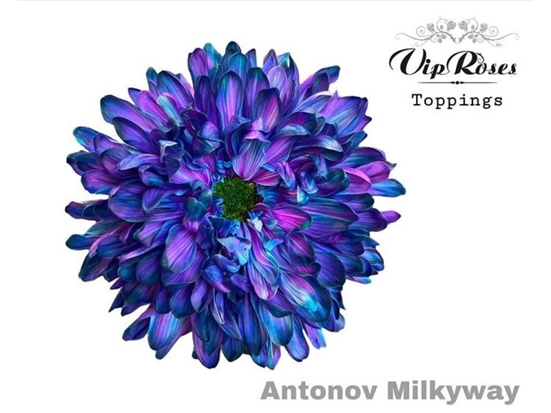 Marjetka deco Antonov Milky Way c789