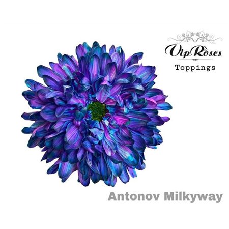 Marjetka deco Antonov Milky Way c789