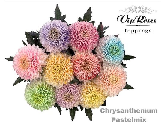 Marjetka deco Pastelmix c812