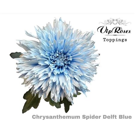 Marjetka deco Spider Delft Blue c823