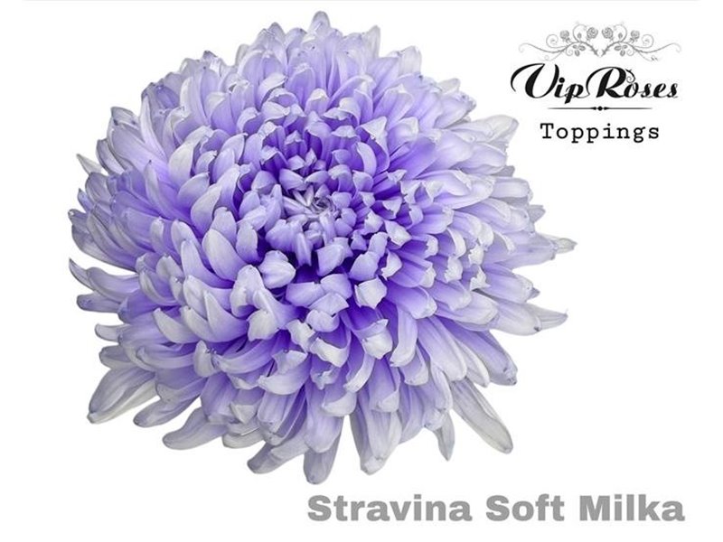 Marjetka deco Stravina Soft Milka c832