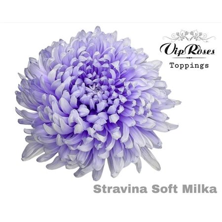 Marjetka deco Stravina Soft Milka c832