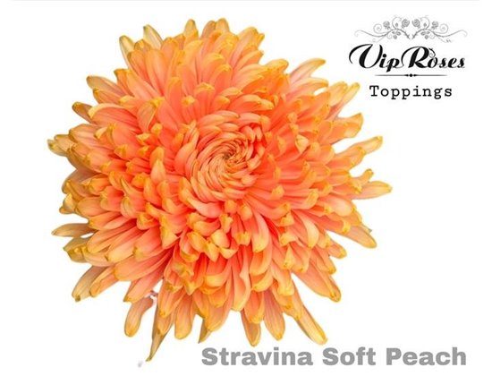 Marjetka deco Stravina Soft Milka c833