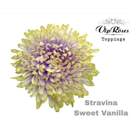 Marjetka deco Stravina Soft Pink c835