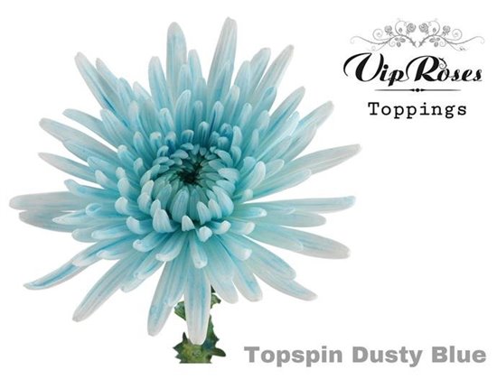 Marjetka deco Topspin Dusty Blue c848