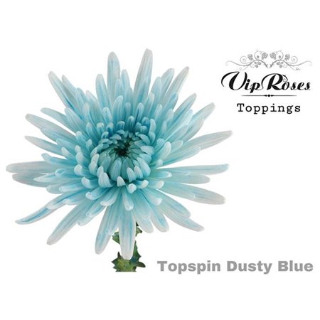 Marjetka deco Topspin Dusty Blue c848