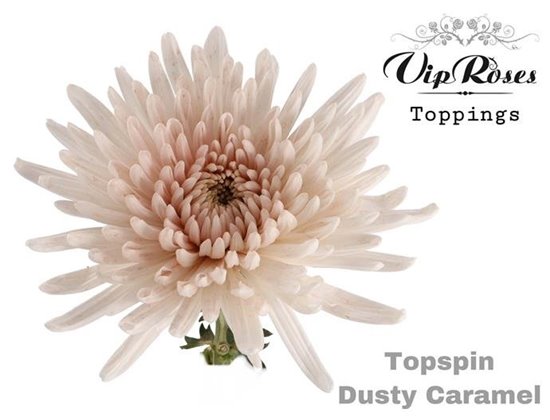 Marjetka deco Topspin Dusty Blue c849