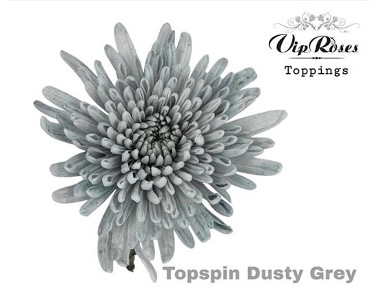 Marjetka deco Topspin Dusty Caramel c850