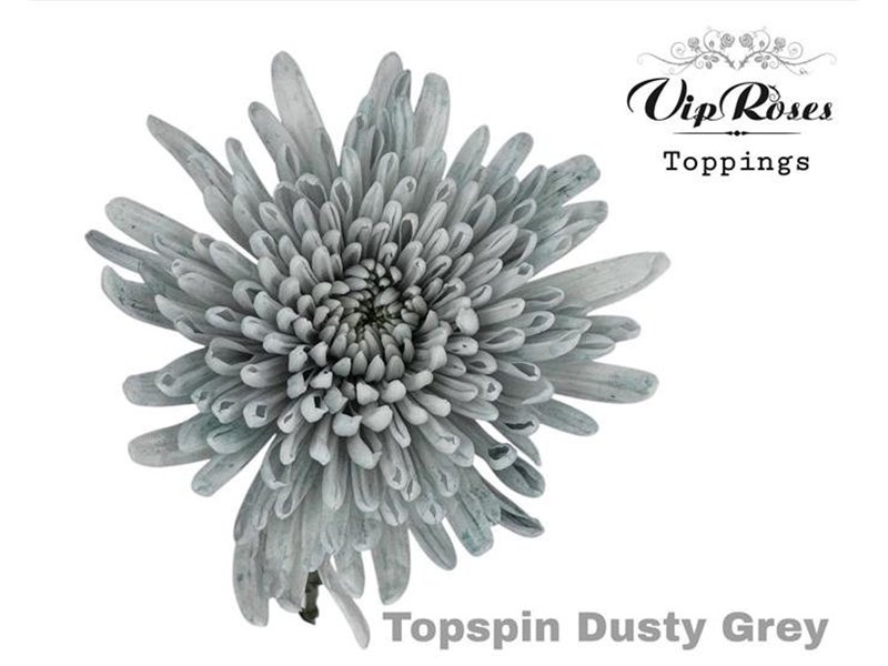 Marjetka deco Topspin Dusty Caramel c850