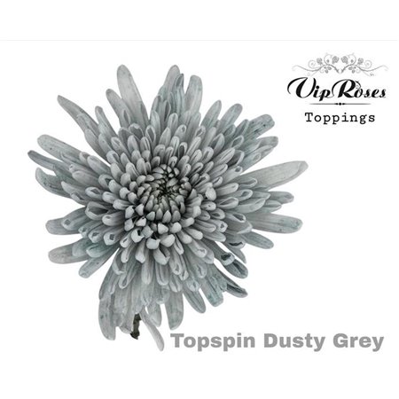 Marjetka deco Topspin Dusty Grey c851