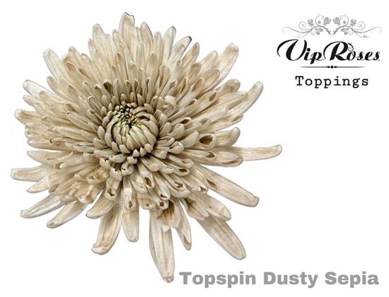 Marjetka deco Topspin Dusty Pink c854