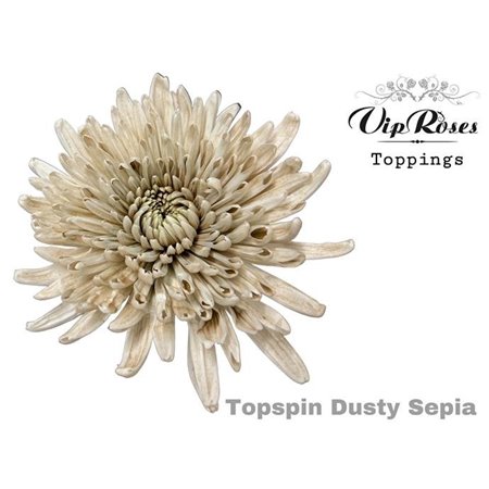 Marjetka deco Topspin Dusty Pink c854