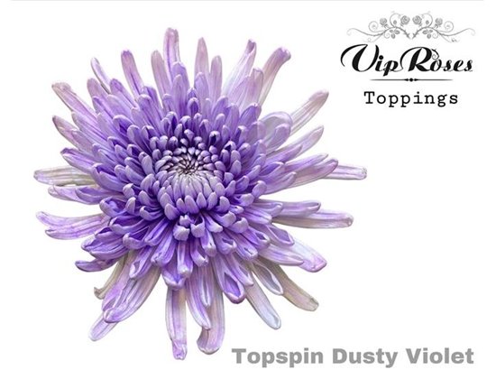 Marjetka deco Topspin Dusty Sepia c855
