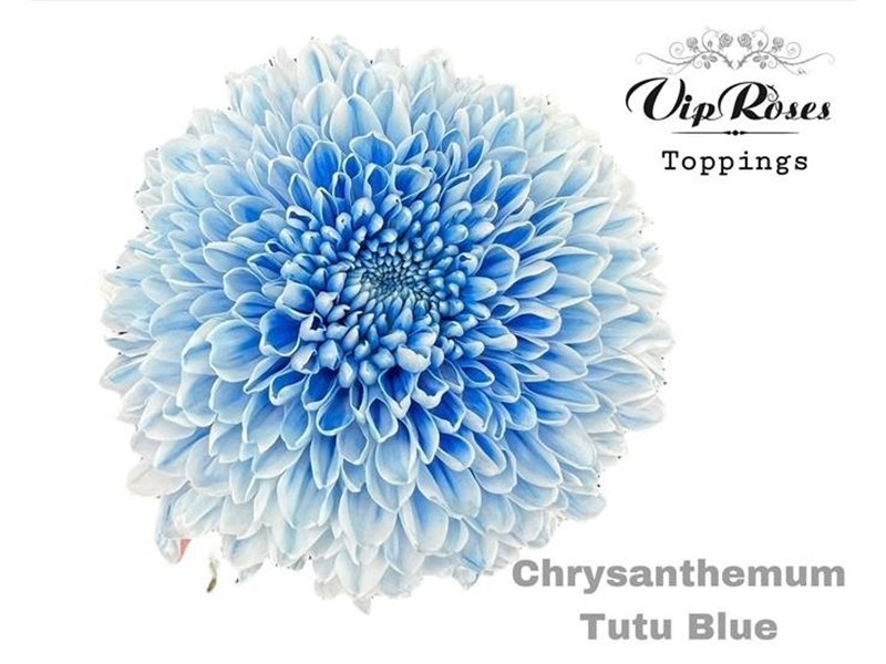 Marjetka deco Tutu Blue c868
