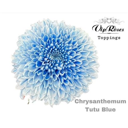 Marjetka deco Tutu Blue c868