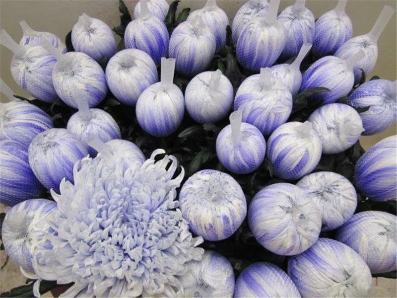 Marjetka deco Tutu Pastel Lilac c869