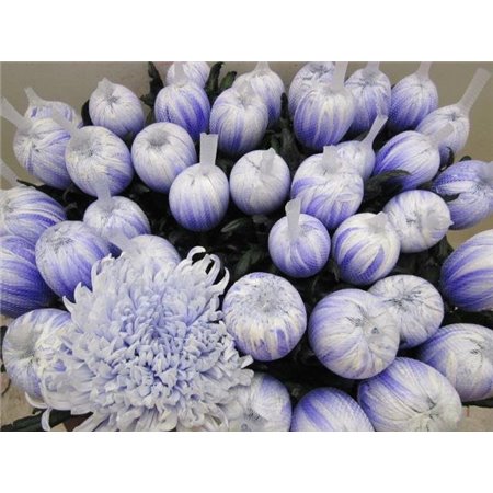 Marjetka deco Tutu Pastel Lilac c869