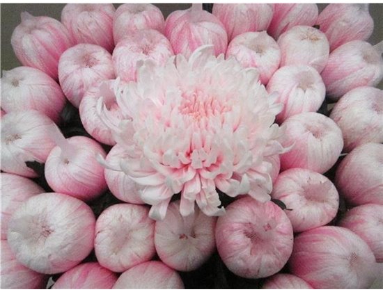 Marjetka deco Tutu Pastel Pink c870