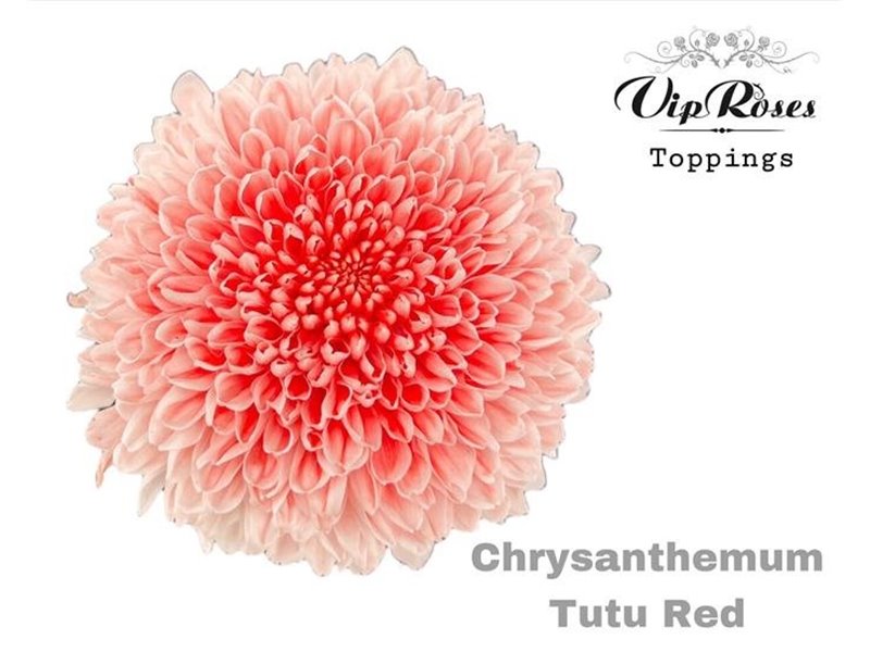 Marjetka deco Tutu Red c872