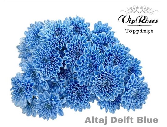 Marjetka T Altaj Delft Blue c950