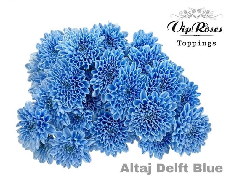 Marjetka T Altaj Delft Blue c950