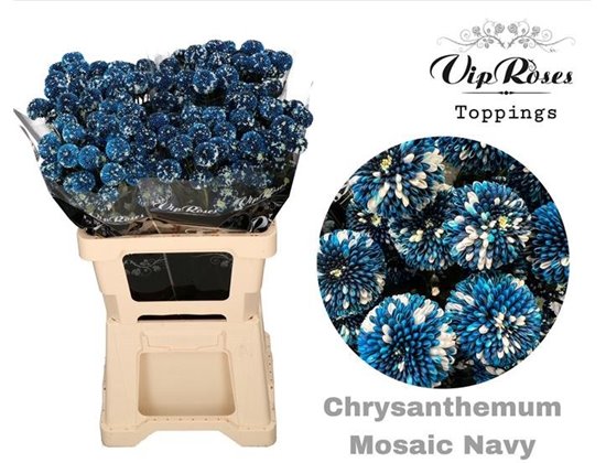 Marjetka T Mosaic Navy c1037