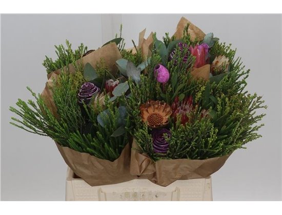 Proteja (p. bunch) c2662