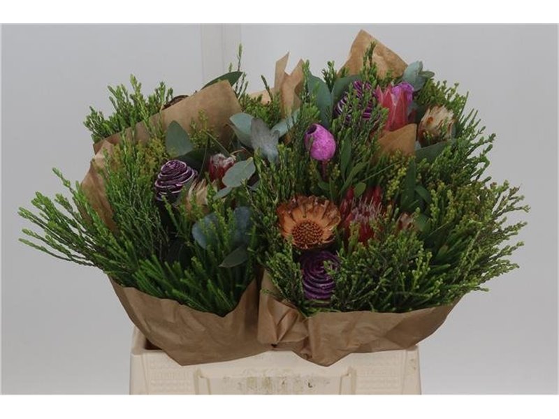 Proteja (p. bunch) c2662