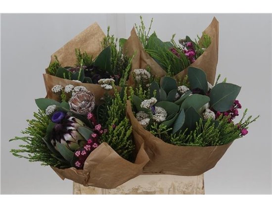 Proteja (p. bunch) c2663