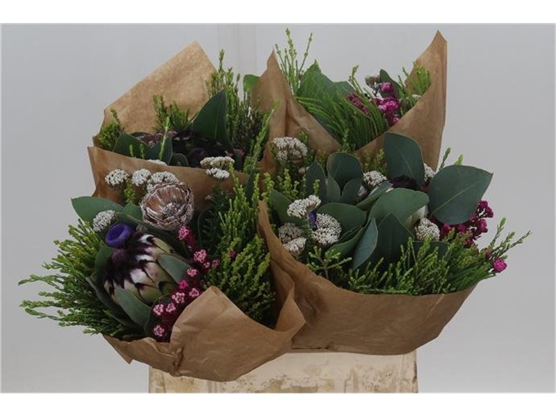 Proteja (p. bunch) c2663