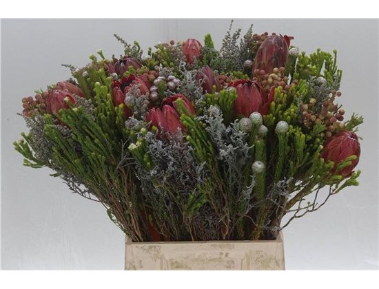 Proteja Bouquet c2664