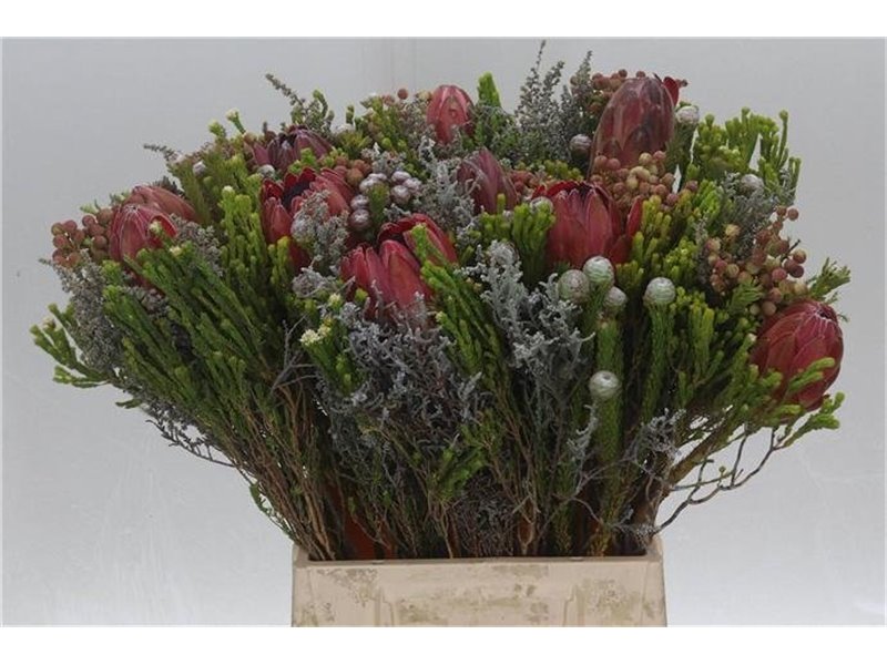 Proteja Bouquet c2664